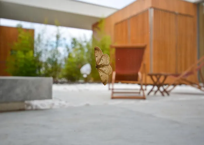 Minho 4* Вила-Нова-ди-Сервейра